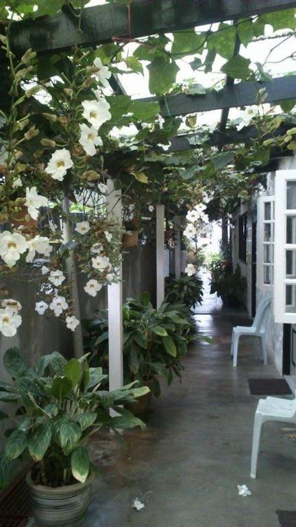 Hillview Inn Cameron Highlands Promo Tanah Rata Εξωτερικό φωτογραφία